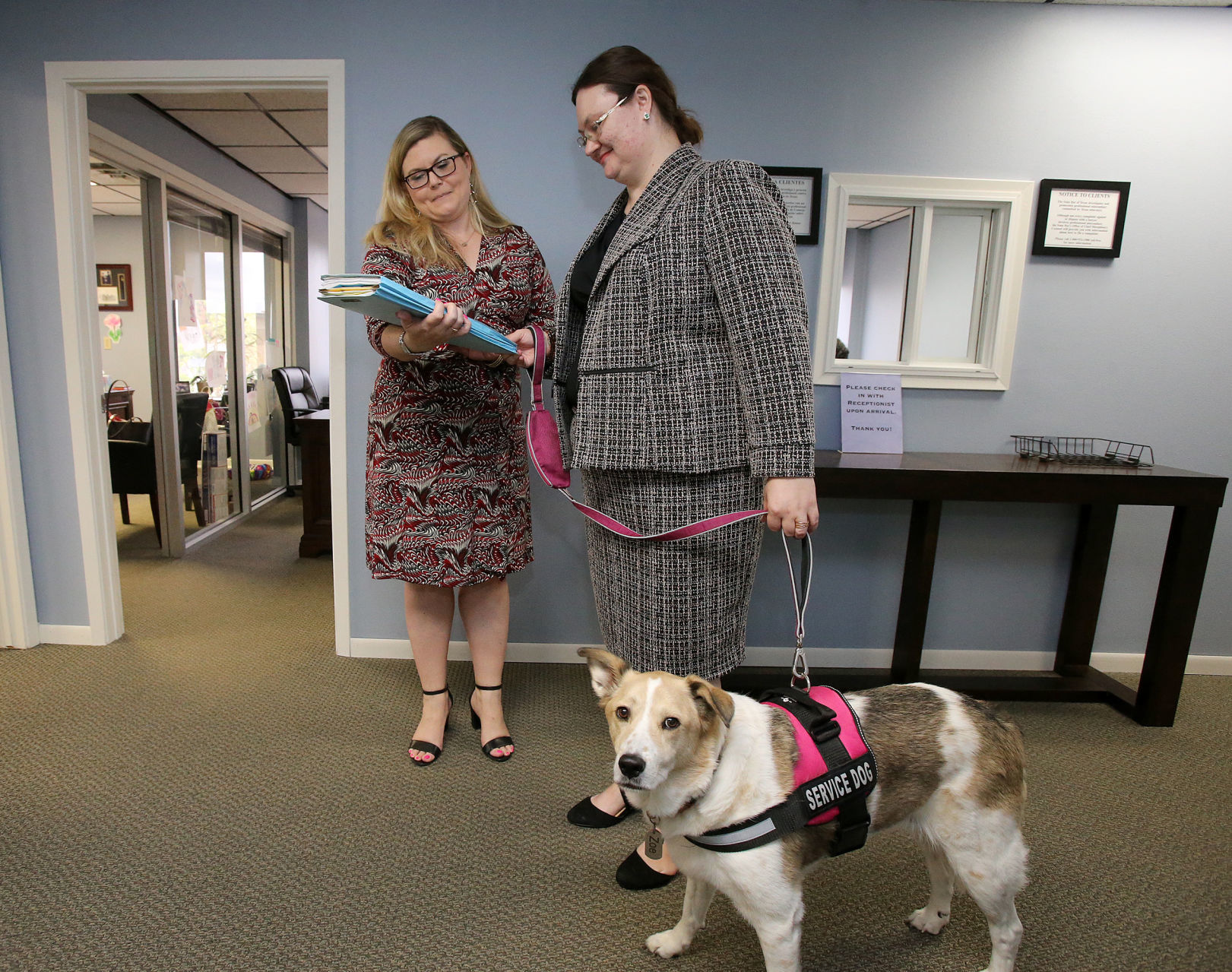 therapy dog
